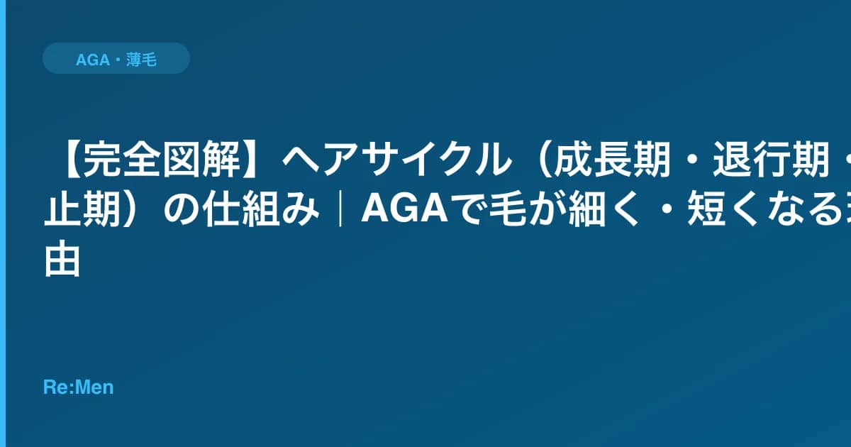【完全図解】ヘアサイクル（成長期・退行期・休止期）の仕組み｜AGAで毛が細く・短くなる理由 のメインビジュアル
